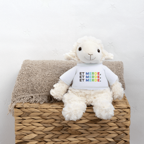  Peluche – Illustration -Design amour, humour et insolence – Boutique 33 francs