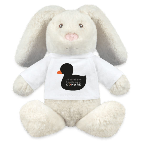 Peluche – Illustration -Design amour, humour et insolence – Boutique 33 francs